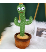 Dancing Cactus