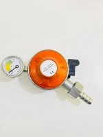 Gas Safety Regulator Device with Meter