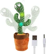 Dancing Cactus - Image 4